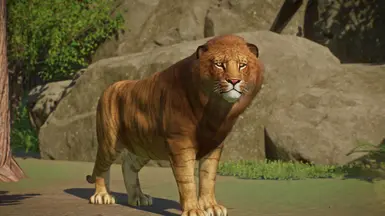 Liger - New Species (1.15) at Planet Zoo Nexus - Mods and community