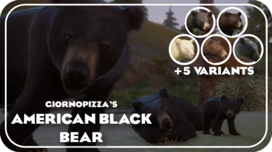 American Black Bear - New Species (1.12)