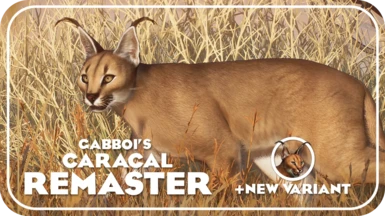 Caracal Remaster and New Variant (1.15)