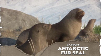 Antarctic Fur Seal - New Species (1.15)