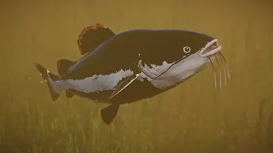 Redtail Catfish - New Species (1.13) at Planet Zoo Nexus - Mods and ...