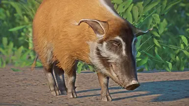 Red River Hog Variants (1.17) at Planet Zoo Nexus - Mods and community