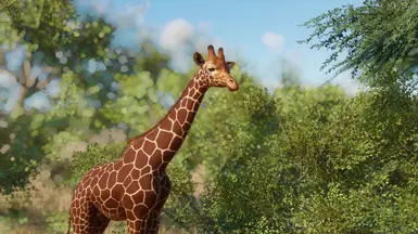 Reticulated Giraffe Remaster (1.16) at Planet Zoo Nexus - Mods and ...