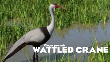 Wattled Crane - New Species (1.16)