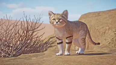 Sand Cat Remaster (1.17) at Planet Zoo Nexus - Mods and community