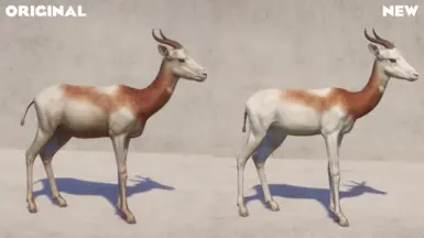 Female Comparison (Brighter colors, thinner overall)