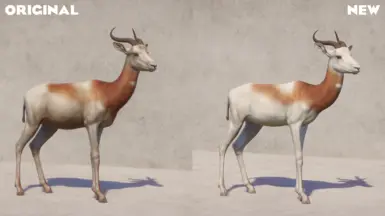 Male Comparison (Brighter colors, thicker neck etc.)