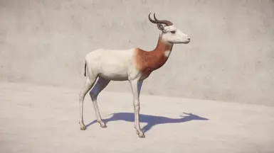 White coat and blanket with red neck