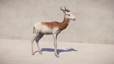 White coat and blanket with red neck and shoulders