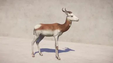 White coat with red neck, shoulders and thigh markings