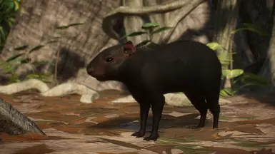 Crested Agouti - New Species (1.14) at Planet Zoo Nexus - Mods and ...