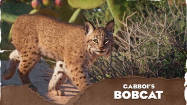 Bobcat - New Species (1.16)