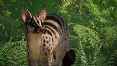 Owston's Palm Civet - New Species (1.16) at Planet Zoo Nexus - Mods and ...