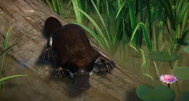 zoo tycoon 2 platypus