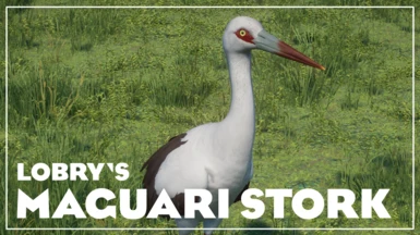 Maguari Stork - New Species (1.15)