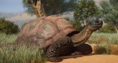 Atlas Tortoise - Extinct New Species (1.16) at Planet Zoo Nexus - Mods ...