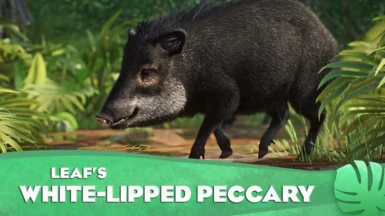 White-Lipped Peccary - New Species (1.16)
