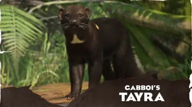 Tayra - New Species (1.15)