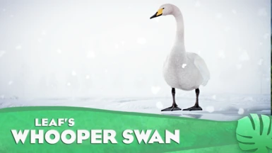 Whooper Swan - New Species (1.16)