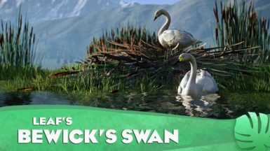 Bewick's Swan - New Species (1.16)