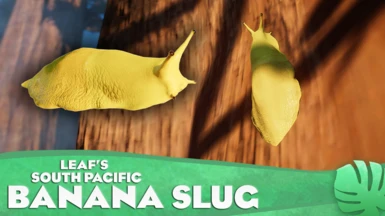 South Pacific Banana Slug - New Exhibit Species (1.16)