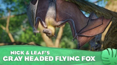 Gray-Headed Flying Fox - New Exhibit Species (1.16)