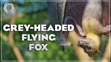 Gray-Headed Flying Fox - New Exhibit Species (1.16)