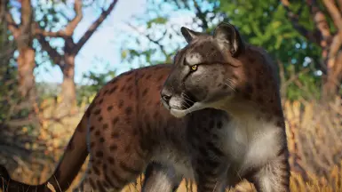 American Cheetah - New Extinct Species (1.16) at Planet Zoo Nexus ...