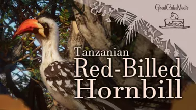 Tanzanian Red-Billed Hornbill - New Species (1.16)
