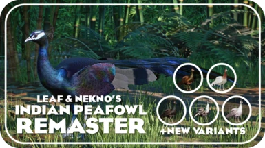 Indian Peafowl Remaster and New Variants (1.16)