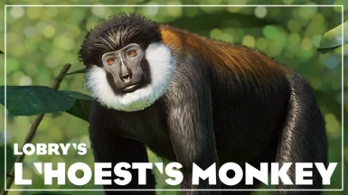 L'Hoest's Monkey - New Species (1.16)