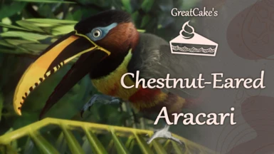 Chestnut-Eared Aracari - New Species (1.16)
