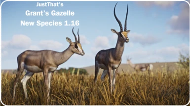 Grant's Gazelle - New Species - 1.16