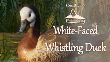 White-Faced Whistling Duck - New species (1.16)