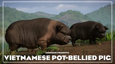 Vietnamese Pot-bellied Pig - New Species (1.16)