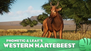 Western Hartebeest - New Species (1.16)