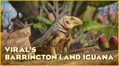 Barrington Land Iguana - New Exhibit Species - (1.16)