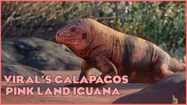 Galapagos Pink Land Iguana - New Exhibit Species - (1.16)