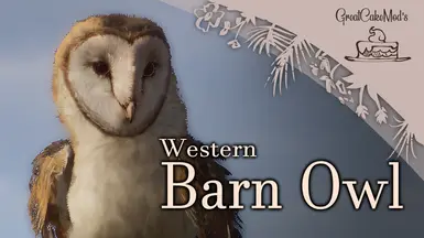 Western Barn Owl - New Species (1.17)