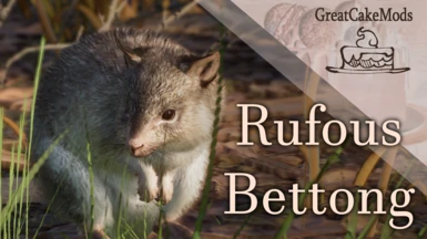 Rufous Bettong - New Species (1.16)