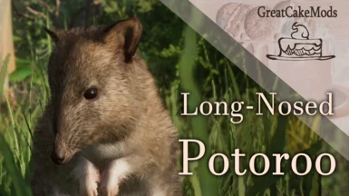 Long-Nosed Potoroo - New Species (1.16)