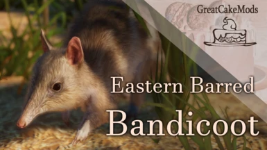 Eastern Barred Bandicoot - New Species (1.16)
