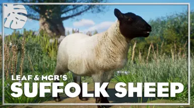 Suffolk Sheep - New Species (1.10) at Planet Zoo Nexus - Mods and community