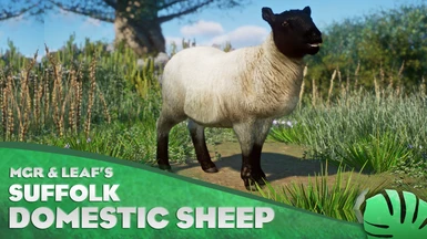 Suffolk Sheep - New Species (1.10)