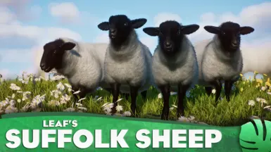 Suffolk Sheep - New Domestic Species (1.17)