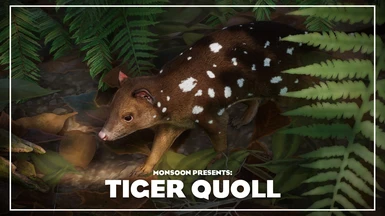 Tiger Quoll - New Species (1.16)