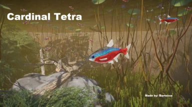 Cardinal Tetra - New Species (1.16)