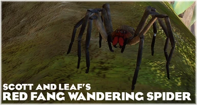 Red Fang Wandering Spider - New Exhibit Species (1.16)