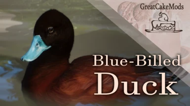 Blue-Billed Duck - New Species (1.16)