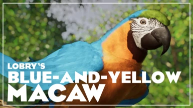 Blue-and-Yellow Macaw - New Species (1.17)